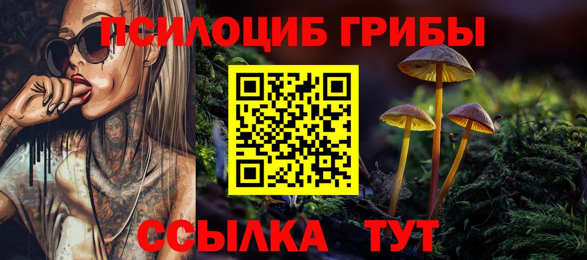 Волжский  Псилоцибиновые грибы мицелий  Псилоцибиновые грибы Magic Shrooms  цены   Вход с VPN 